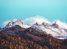 leyu乐鱼体育手机官网入口-川超成都队主教练：崇尚进攻，目标全胜 | 阿刁喜欢看球